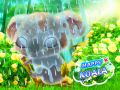 Игра Счастливая коала онлайн