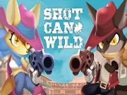 Игра Дикий стрелок онлайн