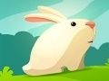Игра Жадный кролик онлайн Игра Жадный кролик онлайн