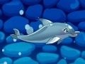 Игра Шоу Дельфинов 5 онлайн Игра Шоу Дельфинов 5 онлайн