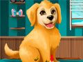 Игра Уход за щенком онлайн Игра Уход за щенком онлайн