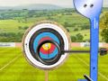 Игра Лучник: мировое турне онлайн Игра Лучник: мировое турне онлайн