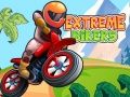 Игра Экстремальные байкеры онлайн