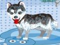 Игра Милое купание собаки онлайн