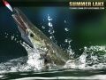 Игра Летнее озеро 1.5 онлайн Игра Летнее озеро 1.5 онлайн