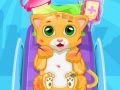 Игра Маленький доктор кошки онлайн