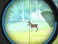 Игра Тренировка охотника онлайн Игра Тренировка охотника онлайн
