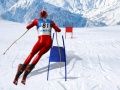 Игра Лыжный симулятор слалома онлайн Игра Лыжный симулятор слалома онлайн