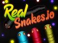 Игра Настоящие змеи онлайн Игра Настоящие змеи онлайн