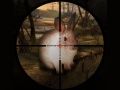 Игра Классическая охота на кроликов 2019 онлайн