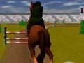 Игра Прыжки на лошади онлайн Игра Прыжки на лошади онлайн