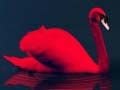 Игра Любимые птицы: Пазл онлайн