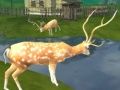 Игра Охота на оленя Снайпер стрелок онлайн Игра Охота на оленя Снайпер стрелок онлайн