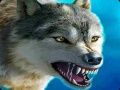 Игра Снайпер охотник на лисиц онлайн Игра Снайпер охотник на лисиц онлайн