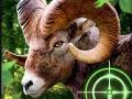 Игра Сумасшедший охотник за козами 2020 онлайн Игра Сумасшедший охотник за козами 2020 онлайн