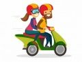 Игра Спортивные мотоциклы: Отличия онлайн