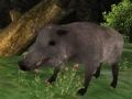 Игра Охота на дикого кабана онлайн Игра Охота на дикого кабана онлайн