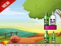 Игра Бутылочный стрелок онлайн