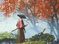 Игра Самурайское отражение онлайн