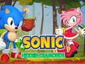 Игра Соник Скрытые бриллианты онлайн Игра Соник Скрытые бриллианты онлайн