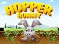 Игра Прыгающий кролик онлайн Игра Прыгающий кролик онлайн