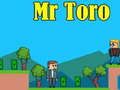 Игра Мистер Торо онлайн