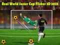 Игра Реальный чемпионат мира по футболу 3D 2023 онлайн Игра Реальный чемпионат мира по футболу 3D 2023 онлайн