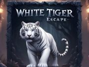 Игра Побег Белого Тигра онлайн