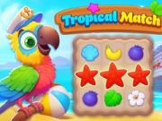 Игра Тропический матч онлайн
