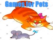 Игра Игры для питомцев онлайн Игра Игры для питомцев онлайн