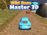 Игра Мастер диких гонок 3D онлайн