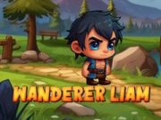 Игра Странник Лиам онлайн