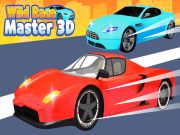 Игра Дикая гонка: Мастер 3D онлайн