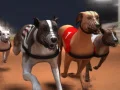 Игра Собачьи бега грейхаундов онлайн Игра Собачьи бега грейхаундов онлайн