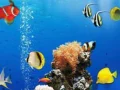 Игра Море подводное различие онлайн Игра Море подводное различие онлайн
