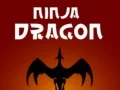 Игра Дракон ниндзя онлайн Игра Дракон ниндзя онлайн