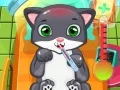 Игра Доктор кошки онлайн Игра Доктор кошки онлайн