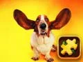 Игра Забавная загадка собак онлайн Игра Забавная загадка собак онлайн