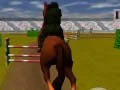Игра Прыжки на лошади онлайн Игра Прыжки на лошади онлайн
