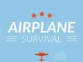 Игра Выживание самолета онлайн