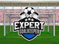 Игра Опытный вратарь онлайн Игра Опытный вратарь онлайн