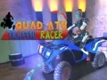 Игра Квадроцикл Гоночный трафик онлайн Игра Квадроцикл Гоночный трафик онлайн