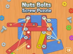 Nuts Bolts Screw Puzzle