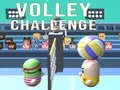 Игра Волейбольный вызов онлайн Игра Волейбольный вызов онлайн