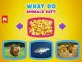What Do Animals Eat?