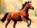 Игра Лошадь Слайд онлайн Игра Лошадь Слайд онлайн