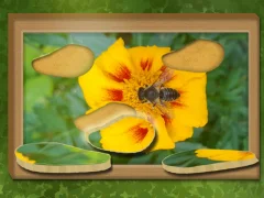 Игра Найти и восстановить онлайн