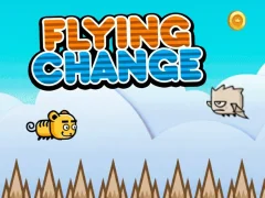 Flying Change