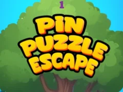 Pin Puzzle Escape