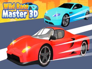 Игра Дикая гонка: Мастер 3D онлайн
